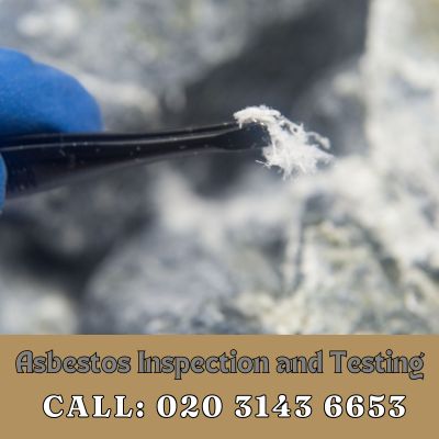 Comprehensive Asbestos Inspection and Testing Services in New Cross Gate